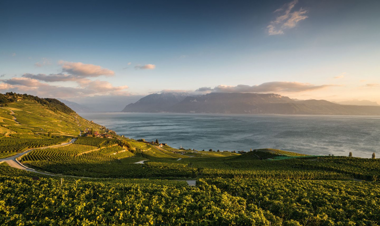 Wine Tourism in Georgia and Switzerland