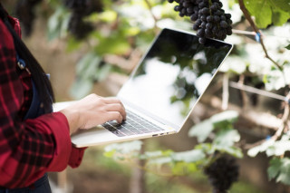 Beyond the Vineyard – A Case Study about Women’s influence on the Economy